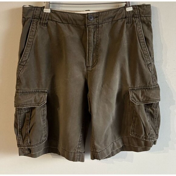 Aeropostale Mens Outdoor Cargo Shorts Utility Hiking Skater Style Brown Size 34 - Picture 1 of 14